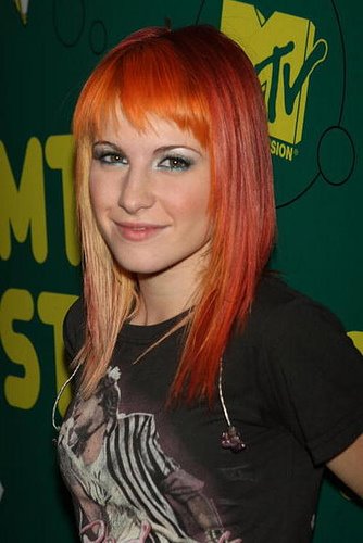 Foto dos peitos de Hayley Williams vocalista do Paramore causou pol mica e
